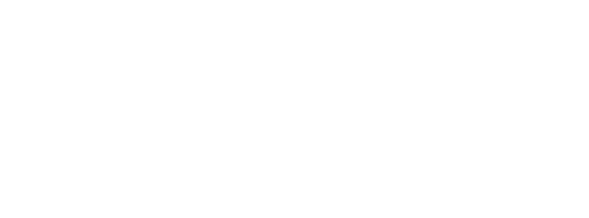 Logo ENEA